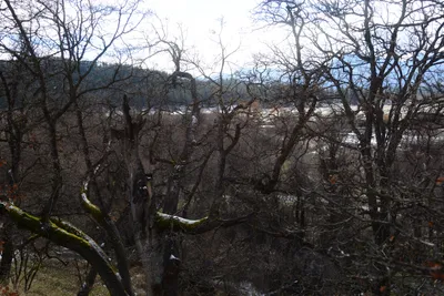 DSC_0793 (Large).JPG